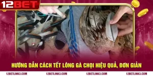 Hướng dẫn cách tết lông gà chọi hiệu quả, đơn giản