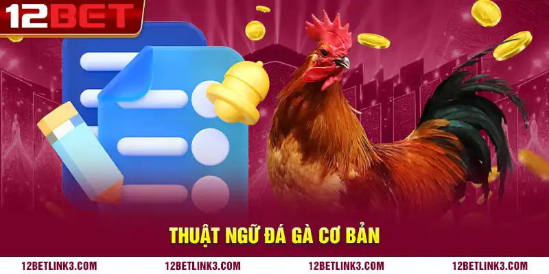 Thuật ngữ đá gà cơ bản